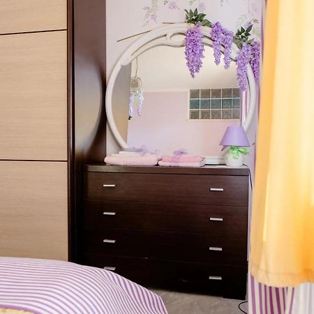 Alexander'S Home Collecorvino Ngoại thất bức ảnh
